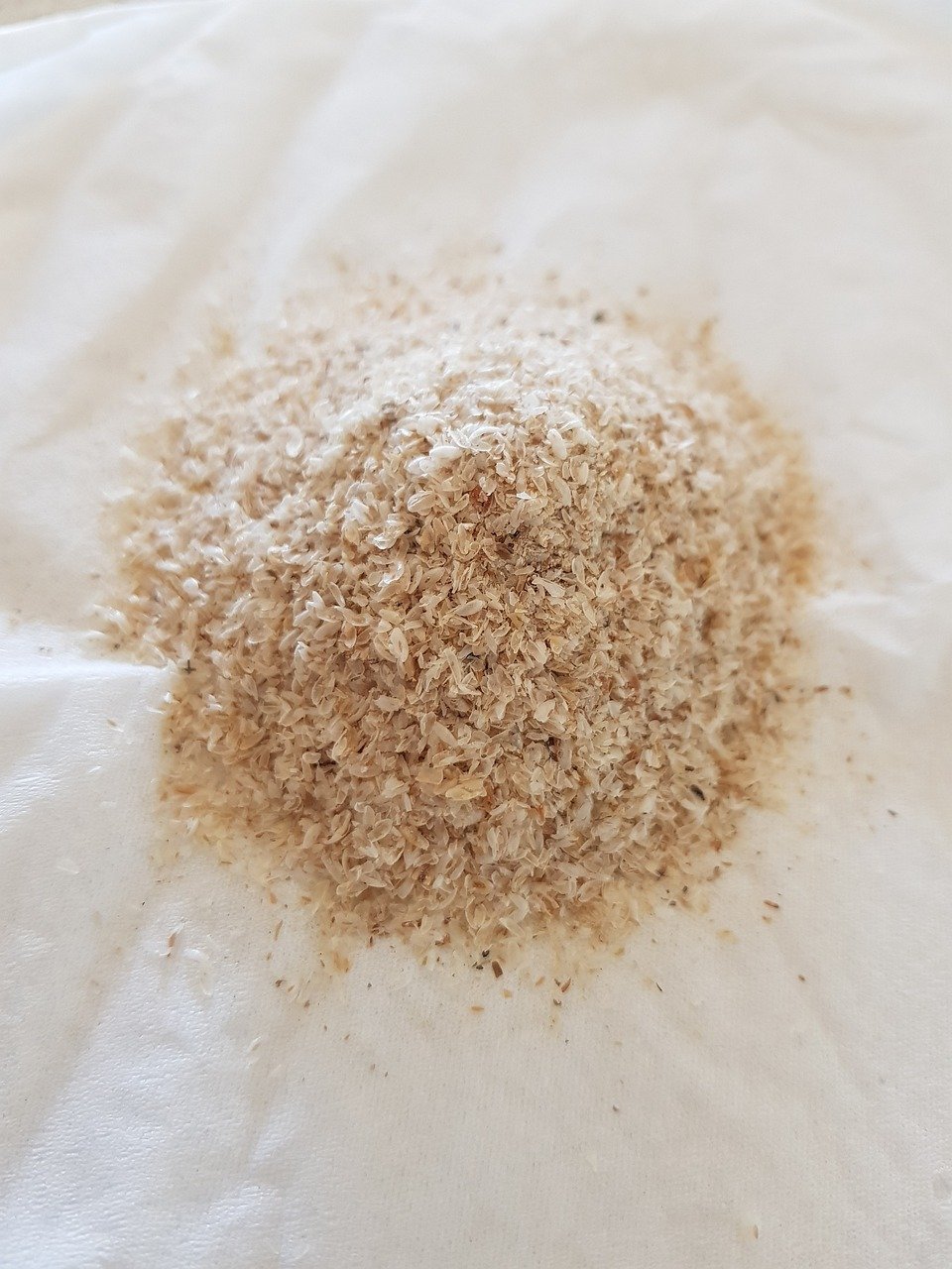 psyllium husk 4359307_1280